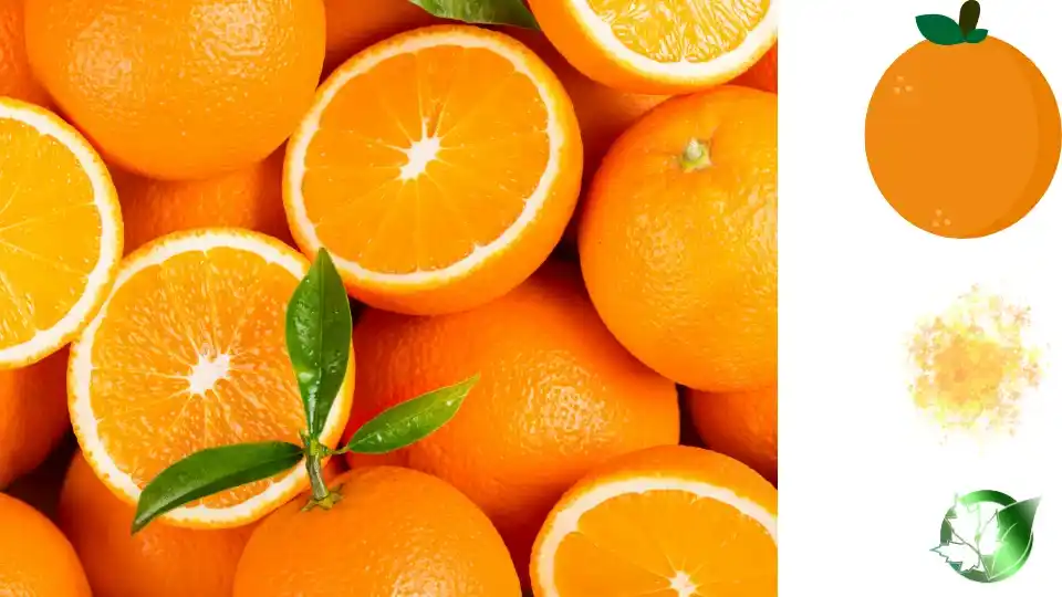Supplier evaluation for Orange Jelly Powder should cover specification, packaging, documentation, logistics, and full delivered cost.